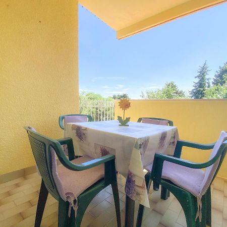 Olga Apartment Novigrad  Luaran gambar